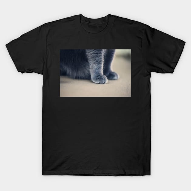 Cat Paws T-Shirt by Kelly Louise Art